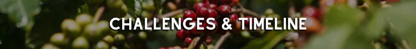 Challenges & Timeline