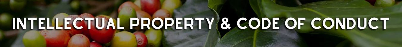 Intellectual Property