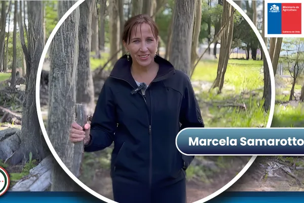 UNIDAD Partner Catch-Up: Insights from Marcela Samarotto - FIA, Chile