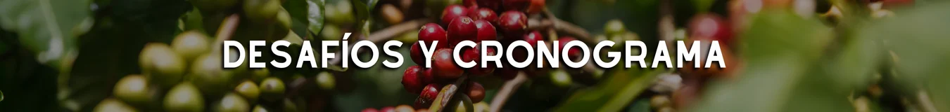 Spa. Challenges & Timeline