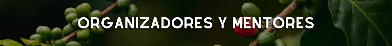 Spa. Intellectual Property (2)