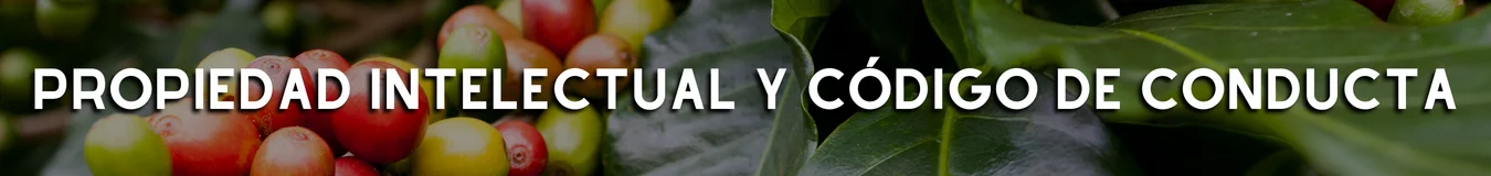 Spa. Intellectual Property