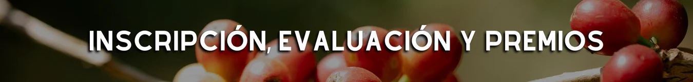 Spa. Registration, Evaluation & Prize